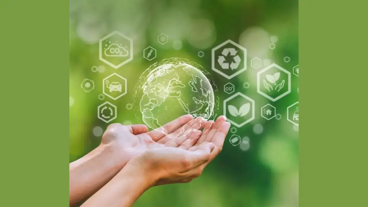 Bupa Acıbadem Sigorta İlk Sürdürülebilirlik Raporunu Tanıttı