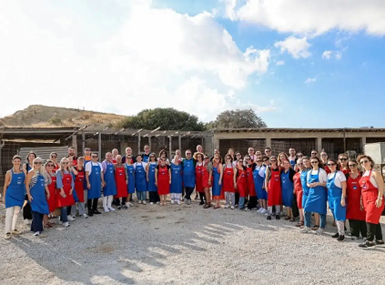 AXA Türkiye Otomotiv Yıldızları Acenteleri ile Buluştu