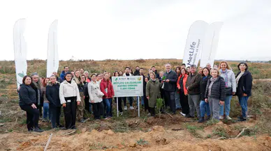 MetLife Türkiye Şile’de yeni bir orman oluşturdu