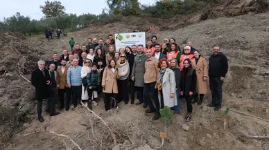 Anadolu Sigorta 100 Bin FidanıToprakla Buluşturacak