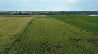2026 Yılı Tarım Sigortalarında Kapsam Genişliyor