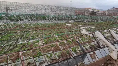 TARSİM'in Yeni Prim Oranları Açıklandı