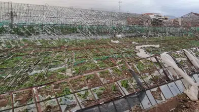 TARSİM'in Yeni Prim Oranları Açıklandı