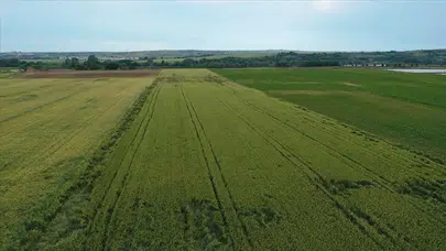 2026 Yılı Tarım Sigortalarında Kapsam Genişliyor