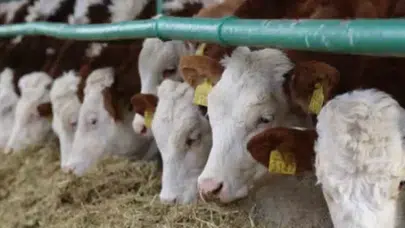 TARSİM Üreticilere 6.3 Milyar TL Tazminat Ödedi