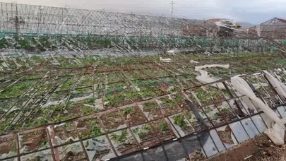 TARSİM'in Yeni Prim Oranları Açıklandı