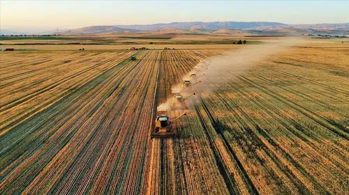 TARSİM, Üreticilere 27 Milyar Lira Destek Paketini Açıkladı