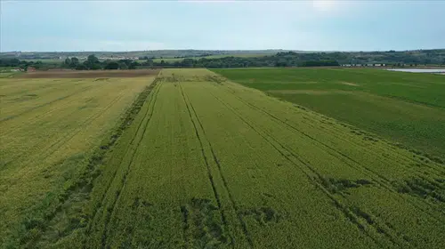 Tarım Sigortalarında 4,2 Milyar Liralık Tazminat Dağıtıldı