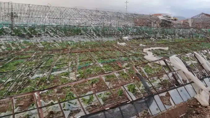 TARSİM'in Yeni Prim Oranları Açıklandı